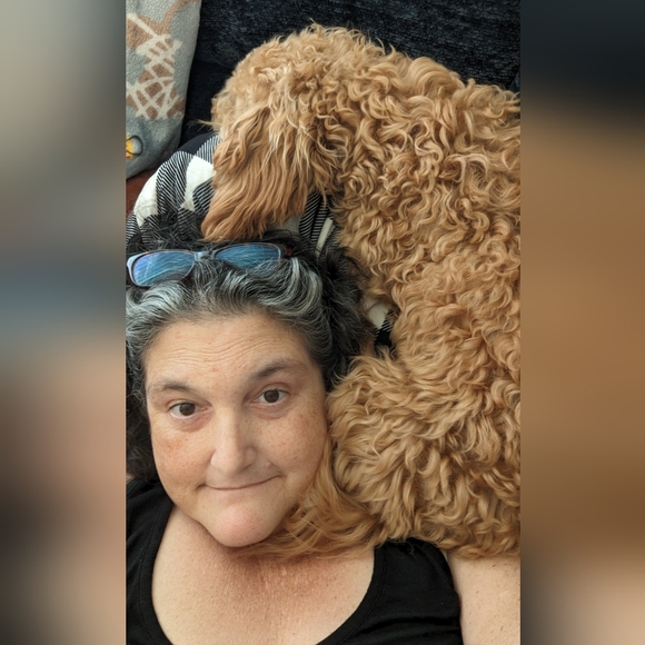 Meet your Posher, Samantha - Picture 2 of 3